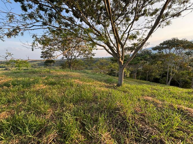 Lote en venta en Pance, Cali, 600 m² · foto 14 de 19