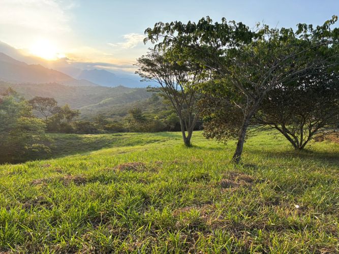 Lote en venta en Pance, Cali, 600 m² · foto 15 de 19