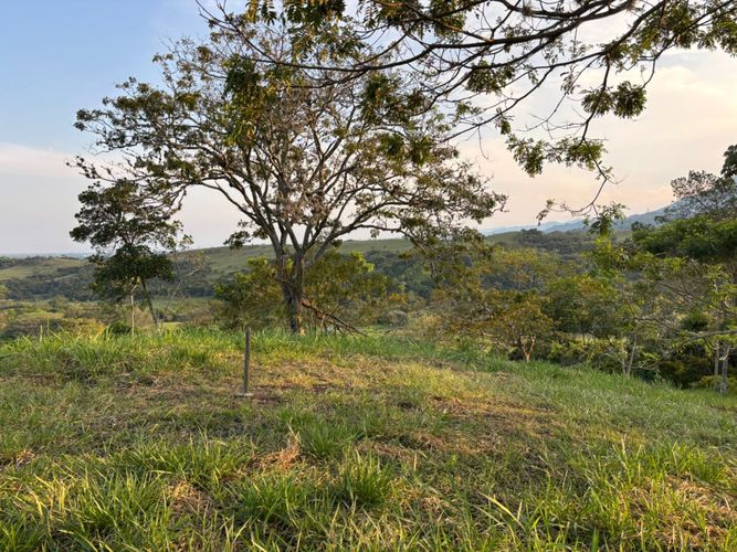 Lote en venta en Pance, Cali, 600 m² · foto 16 de 19