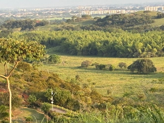 Lote en venta en Pance, Cali, 600 m² · foto 18 de 19
