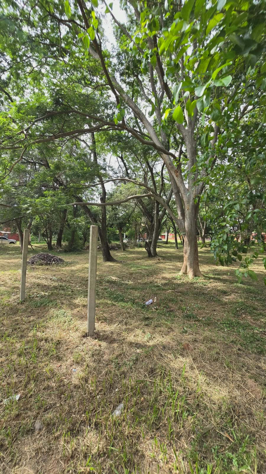 Alquiler terrenos de 2.850 m2 ,  sobre la Avenida Perón — foto 3