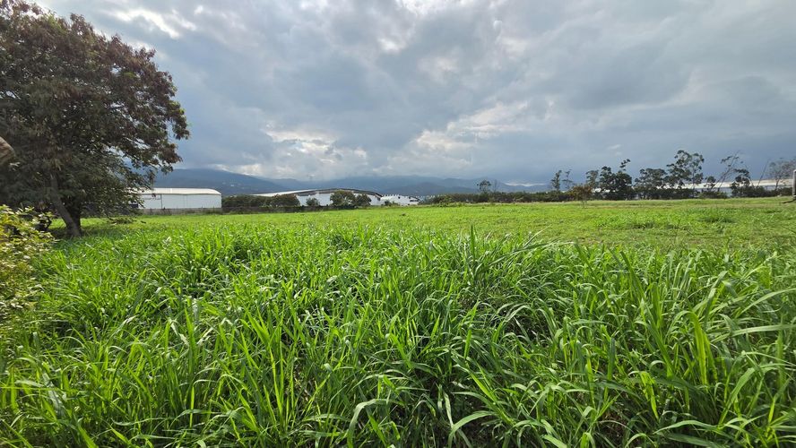 Lote en venta en Arroyohondo, Palmira, 38400 m² · foto 17 de 22