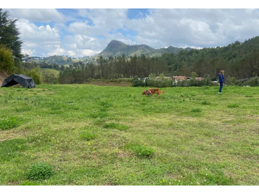 Land in Lejos del nido (1768 m²) for Sale