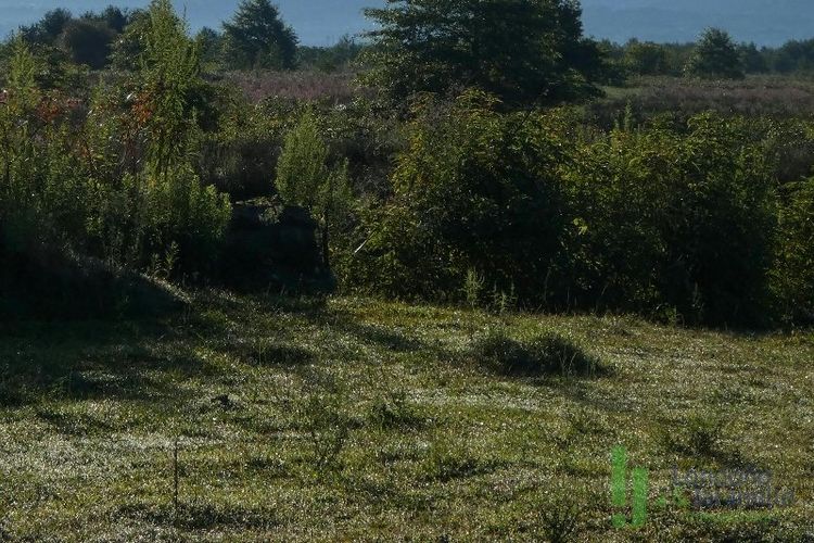 Lote en venta en El Tambo, La Ceja, 950 m² · foto 2 de 5
