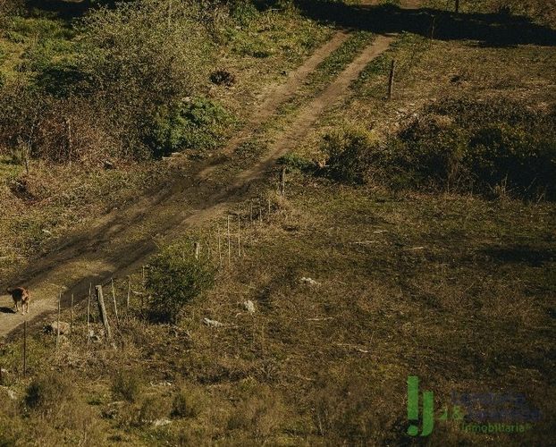Lote en venta en El Tambo, La Ceja, 950 m² · foto 3 de 5