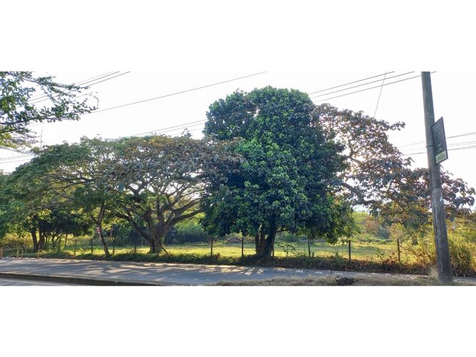 Lote en venta en Pance, Cali, 33336 m² · foto 5 de 8