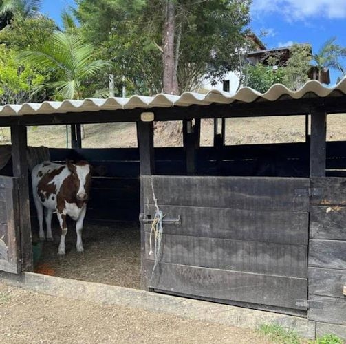 Finca en arriendo en Guarne, 405 m² · foto 22 de 24