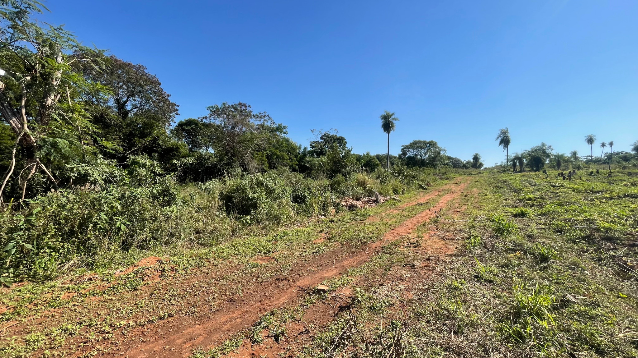 Terreno en venta en Itauguá — foto 3
