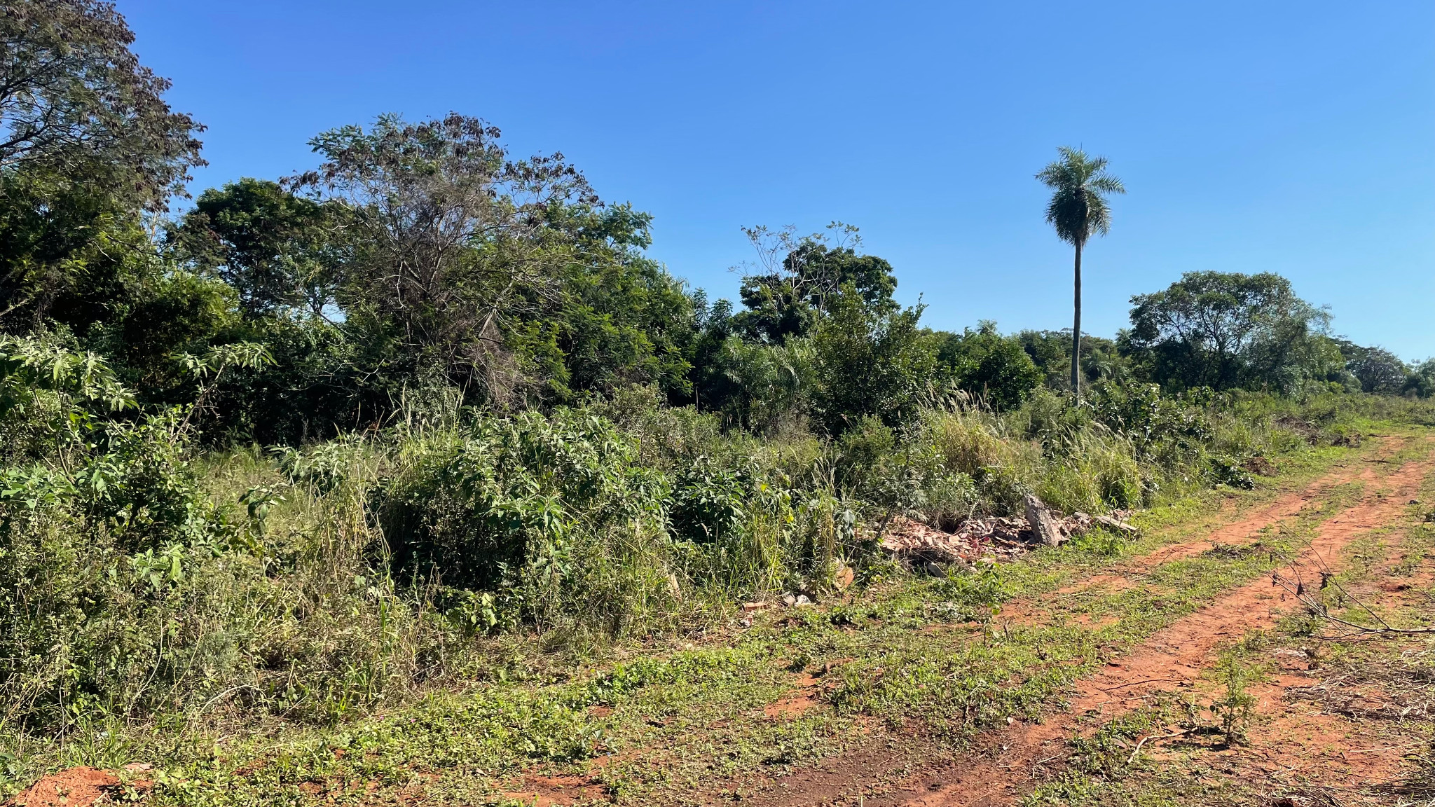 Terreno en venta en Itauguá — foto 2