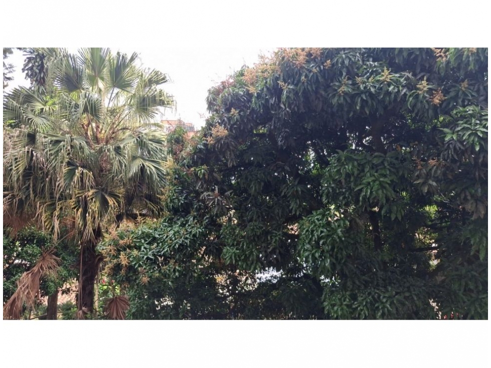 Apartamento en venta en El Poblado, Medellín 2