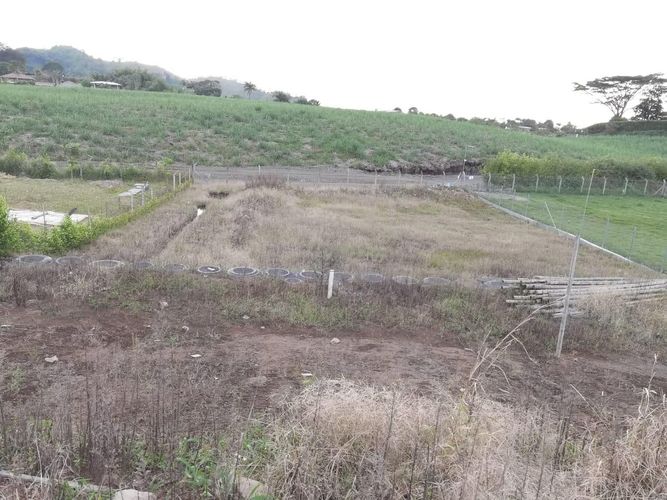 Lote en venta en Combia, Pereira, 1500 m² · foto 3 de 9