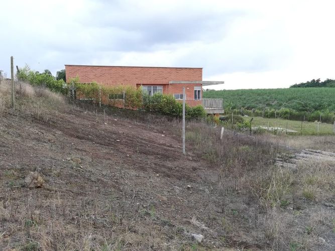 Lote en venta en Combia, Pereira, 1500 m² · foto 8 de 9