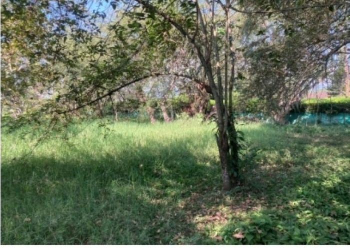 Lote en venta en Pance, Cali, 3445 m² · foto 2 de 5