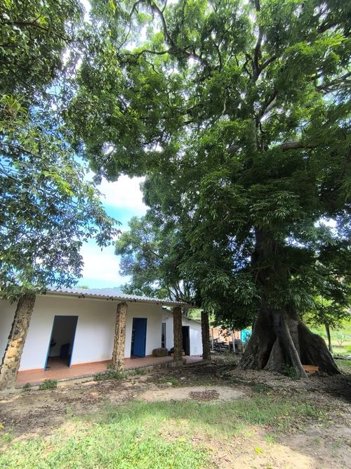 Casa de 3 alcobas en arriendo en Guatiguara, Piedecuesta, 700 m² · foto 7 de 12
