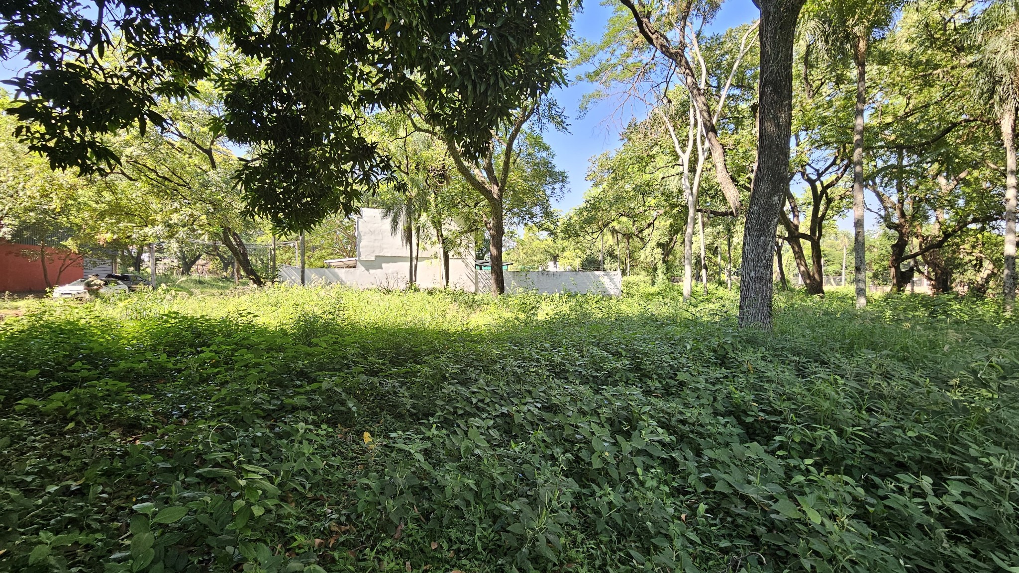 Terreno en venta en Lambaré — foto 2