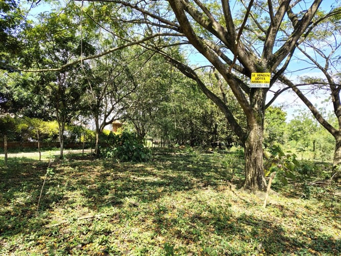 Lote en venta en Pance, Cali, 16 m² · foto 2 de 6