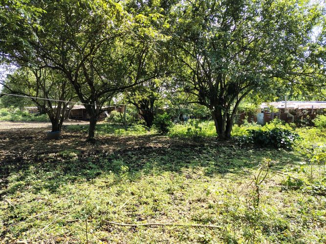 Lote en venta en Pance, Cali, 16 m² · foto 4 de 6