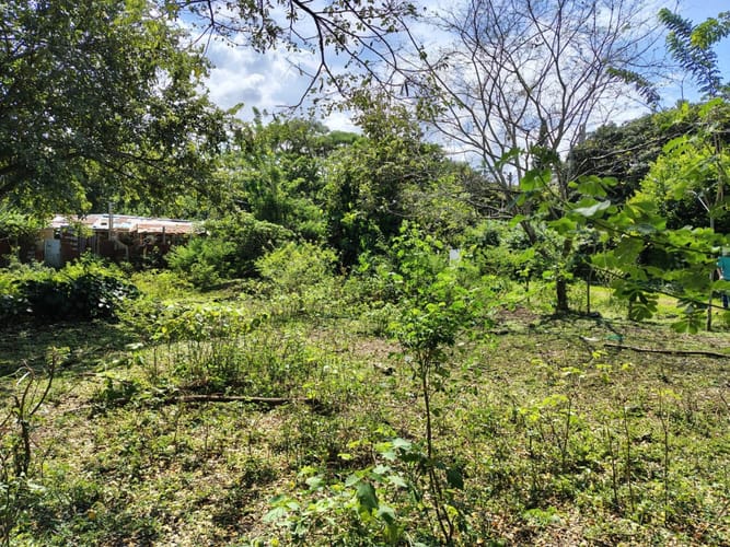 Lote en venta en Pance, Cali, 16 m² · foto 6 de 6