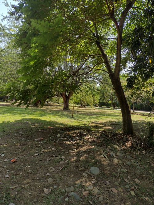 Casa de 4 alcobas en venta en La Morada, Jamundí, 394 m² · foto 21 de 24