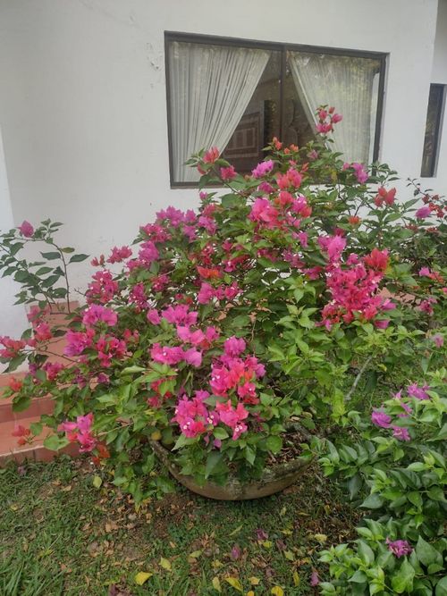 Casa de 4 alcobas en venta en La Morada, Jamundí, 394 m² · foto 23 de 24