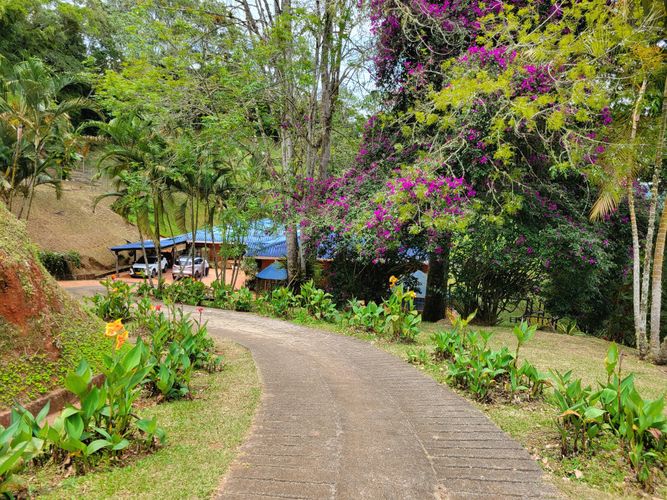 Finca en venta en San Miguel, Cali, 450 m² · foto 3 de 24