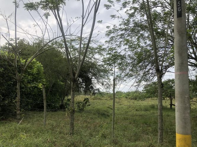 Lote en venta en Pance, Cali, 204 m² · foto 2 de 7