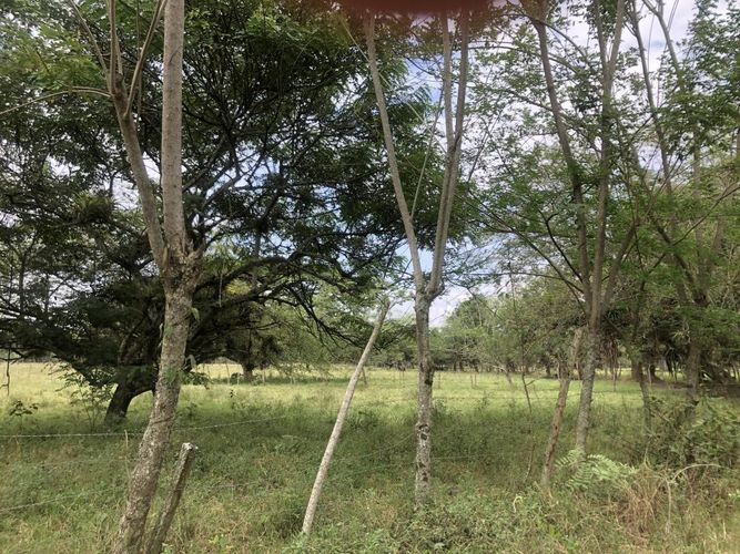 Lote en venta en Pance, Cali, 204 m² · foto 3 de 7