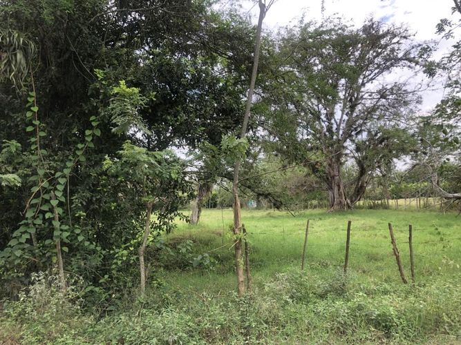 Lote en venta en Pance, Cali, 204 m² · foto 4 de 7