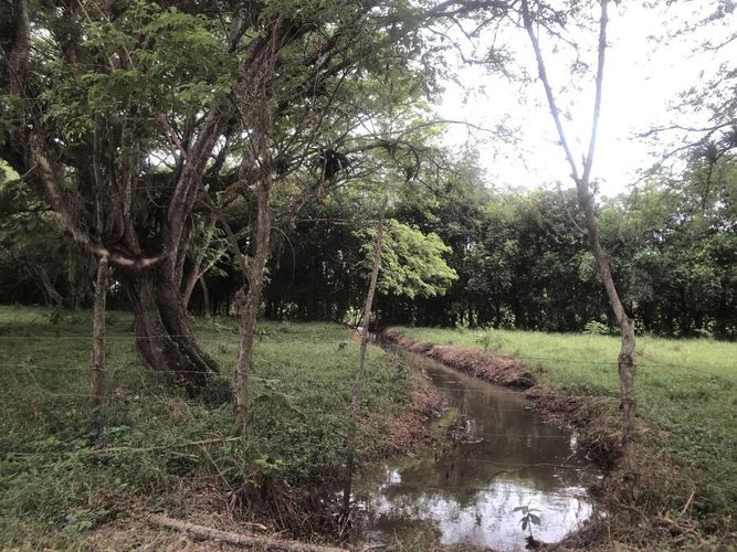 Lote en venta en Pance, Cali, 204 m² · foto 5 de 7