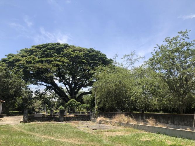 Lote en venta en Pance, Cali, 26063 m² · foto 8 de 13