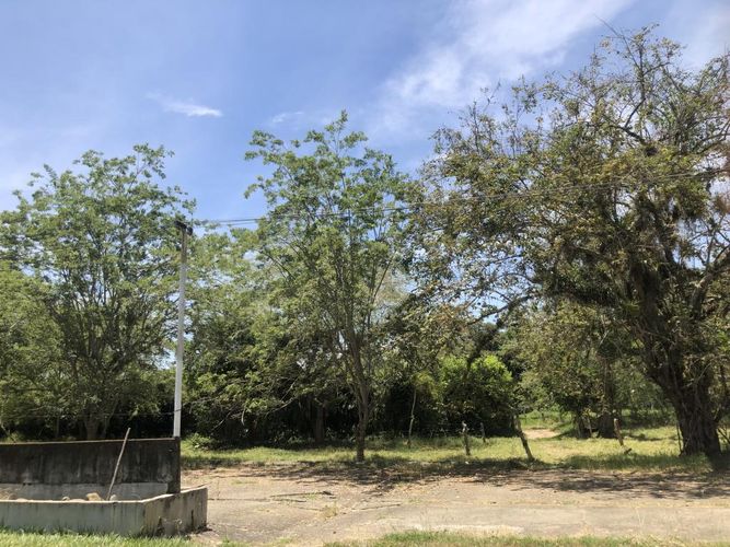 Lote en venta en Pance, Cali, 26063 m² · foto 10 de 13