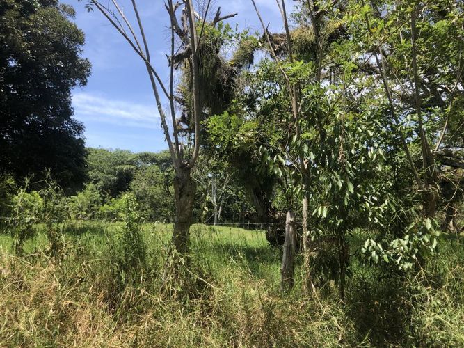 Lote en venta en Pance, Cali, 26063 m² · foto 11 de 13