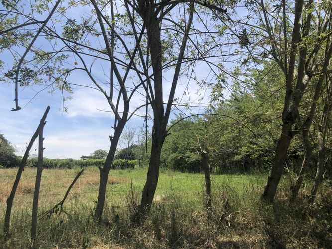 Lote en venta en Pance, Cali, 26063 m² · foto 12 de 13