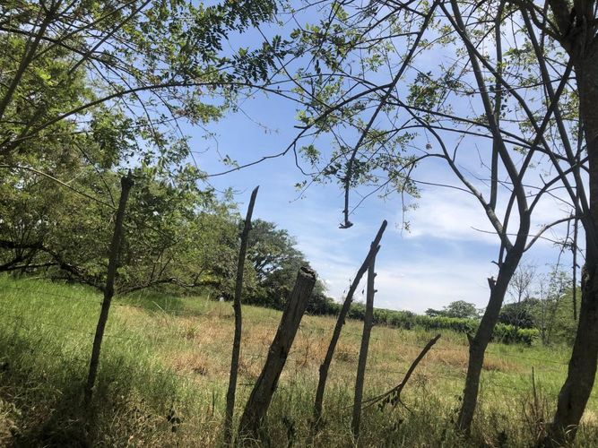 Lote en venta en Pance, Cali, 26063 m² · foto 13 de 13