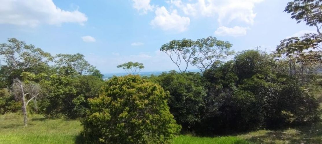 Lote en venta en Pance, Cali · foto 2 de 7