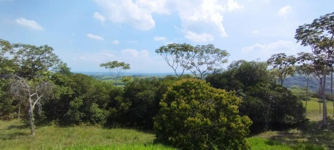 Lote en venta en Pance, Cali · foto 5 de 7