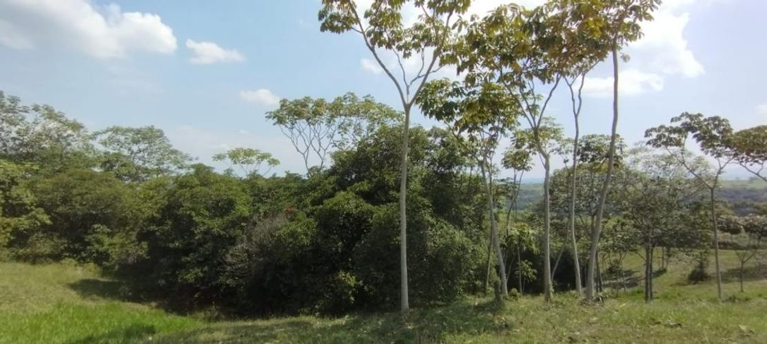 Lote en venta en Pance, Cali · foto 7 de 7