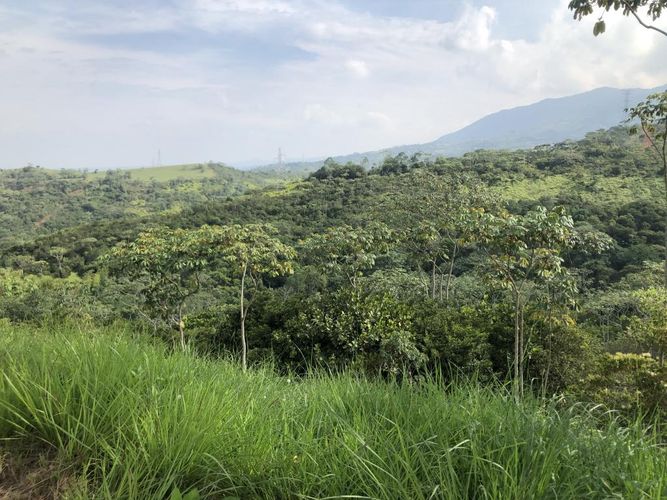 Lote en venta en Pance, Cali, 6000 m² · foto 4 de 5