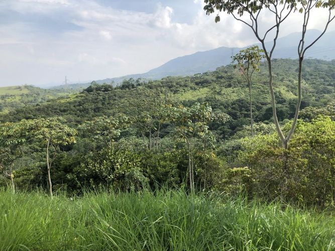 Lote en venta en Pance, Cali, 6000 m² · foto 5 de 5