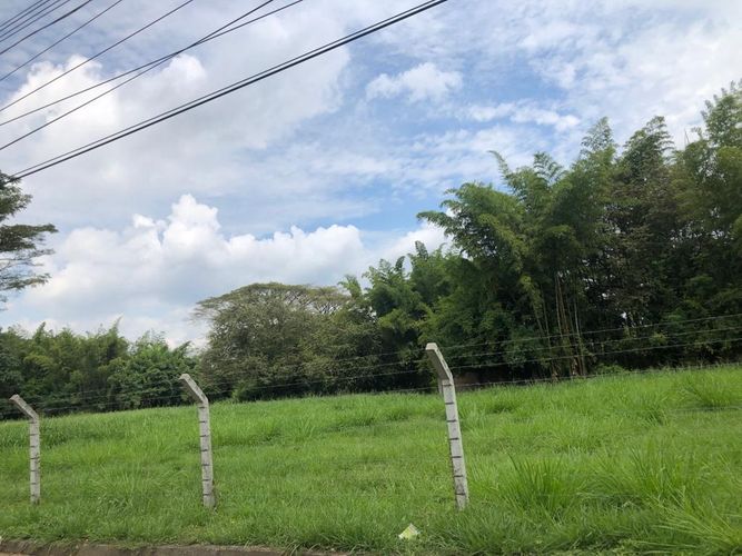 Lote en venta en Pance, Cali, 7000 m² · foto 4 de 7
