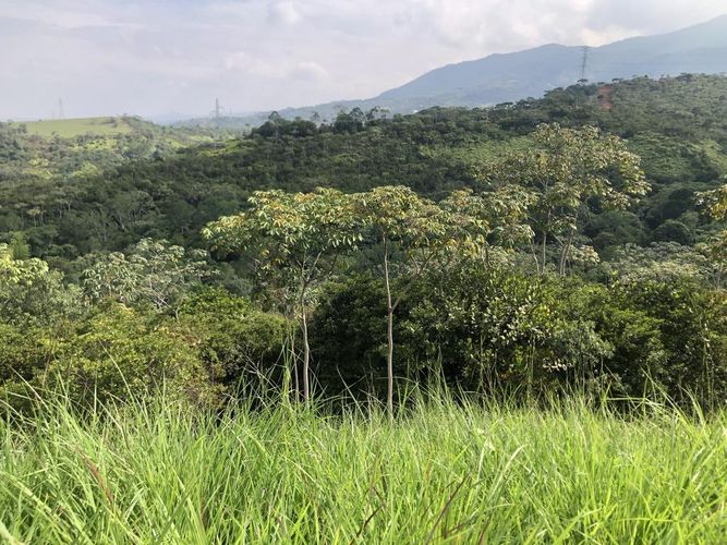 Lote en venta en Pance, Cali, 6000 m² · foto 2 de 5