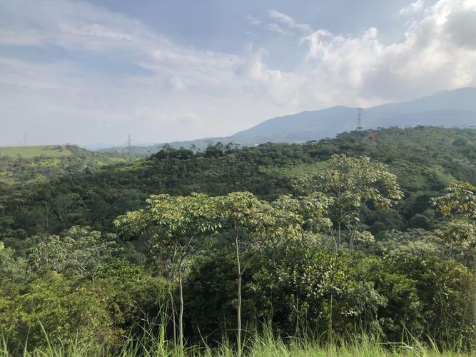 Lote en venta en Pance, Cali, 6000 m² · foto 3 de 5