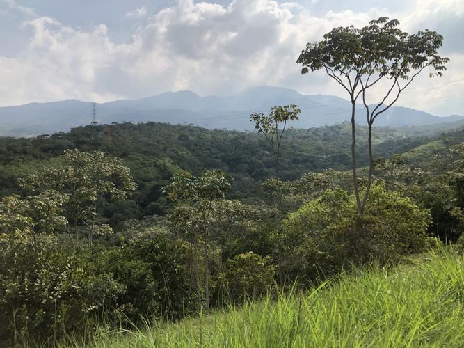 Lote en venta en Pance, Cali, 6000 m² · foto 4 de 5