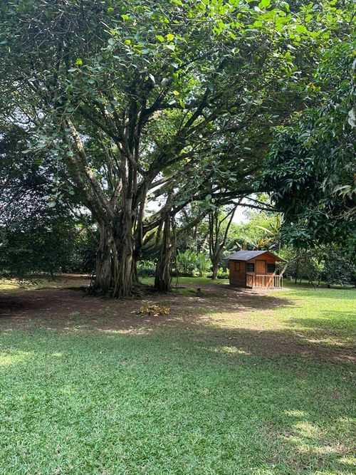 Lote en venta en Pance, Cali, 600 m² · foto 3 de 24