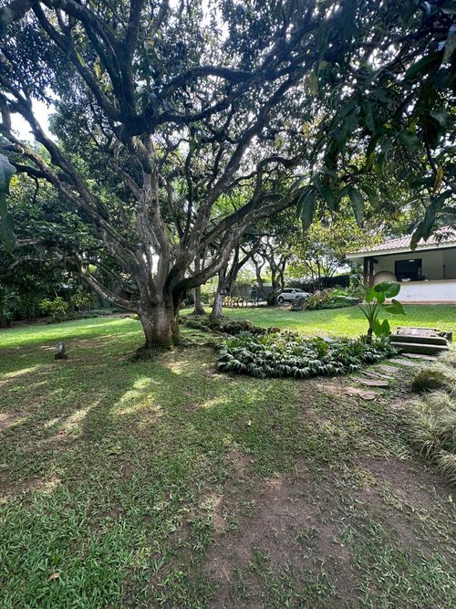 Lote en venta en Pance, Cali, 600 m² · foto 4 de 24