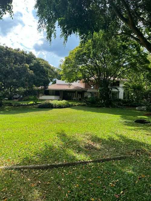 Lote en venta en Pance, Cali, 600 m² · foto 6 de 24