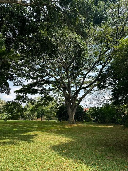 Lote en venta en Pance, Cali, 600 m² · foto 7 de 24