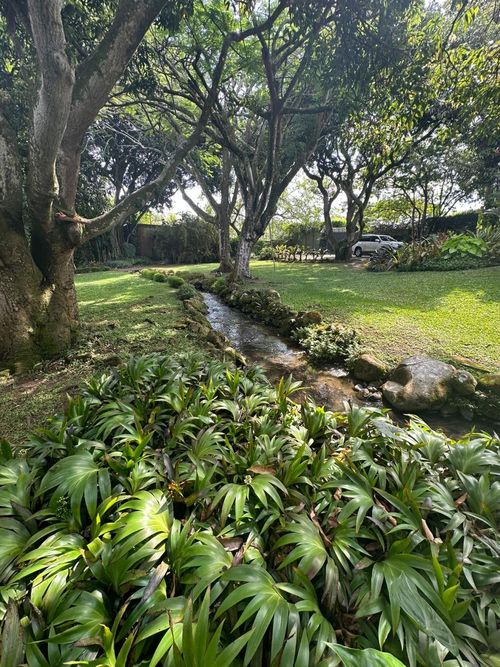 Lote en venta en Pance, Cali, 600 m² · foto 10 de 24