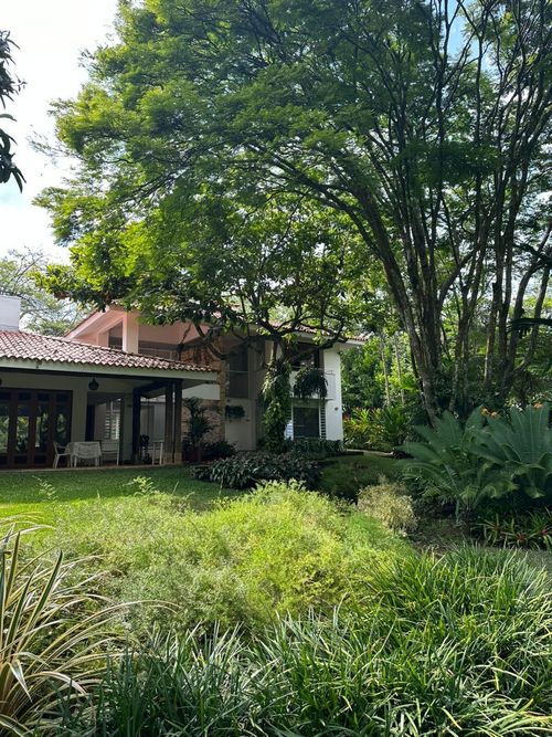 Lote en venta en Pance, Cali, 600 m² · foto 11 de 24
