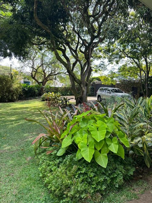 Lote en venta en Pance, Cali, 600 m² · foto 13 de 24